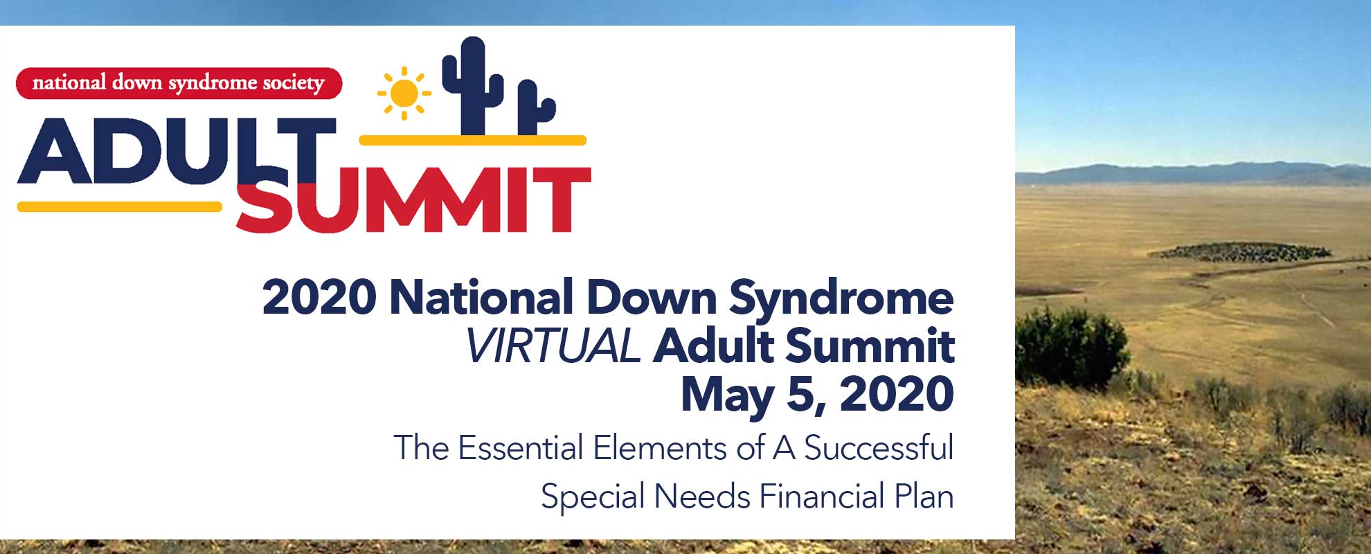 2020 National Down Syndrome Virtual Adult Summit- The Essential Elements of A Successful Special Needs Financial Plan