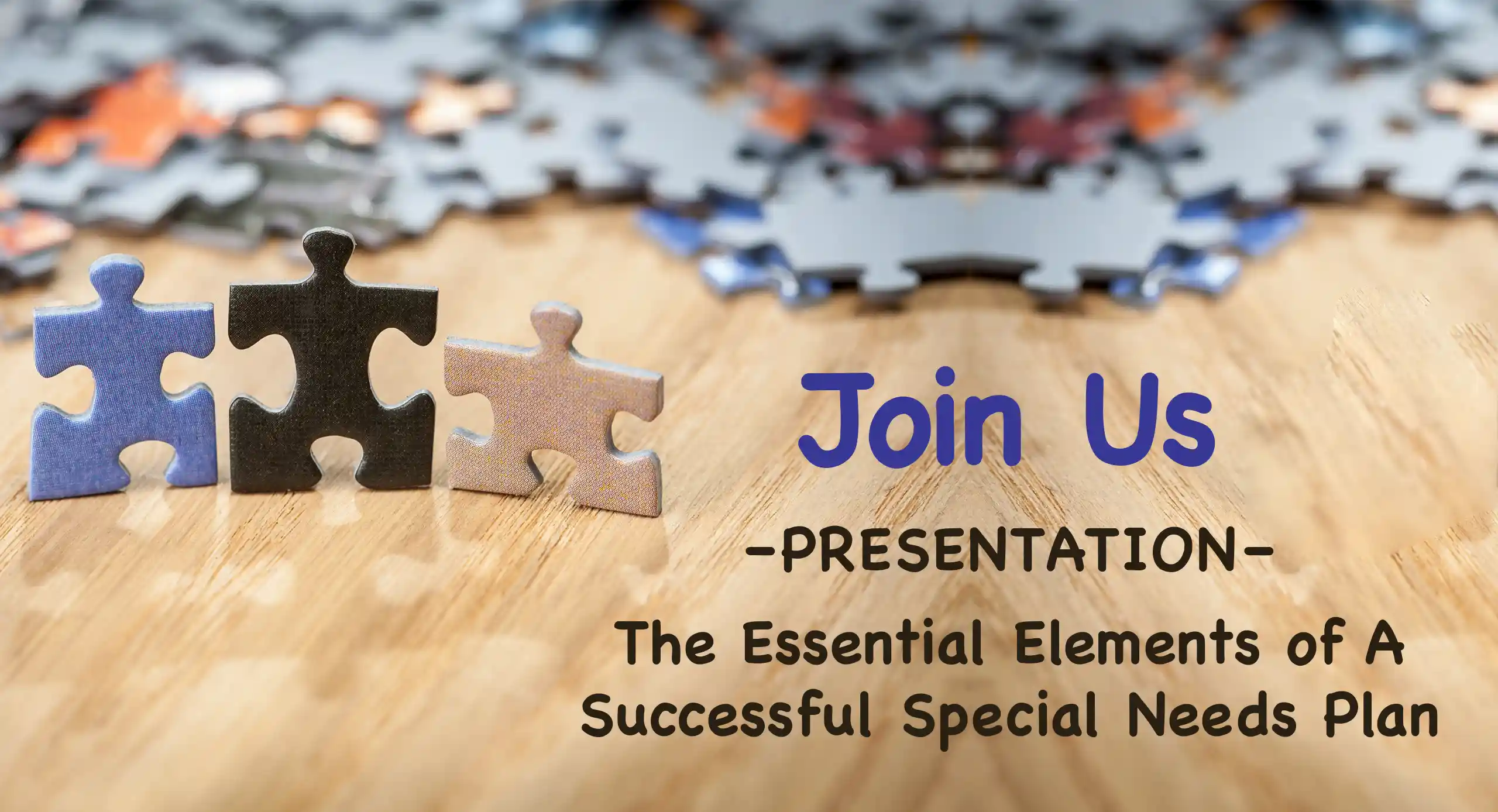 Call out banner - Join us for a Presentation on The Essential Elements of a Successful Special Needs Plan.