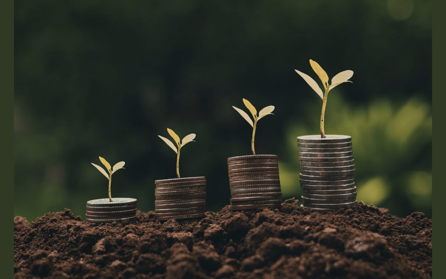 Plants growing on stacked coins in soil.
